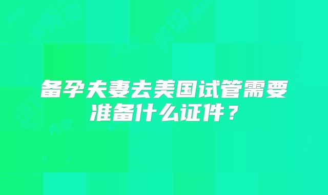 备孕夫妻去美国试管需要准备什么证件？