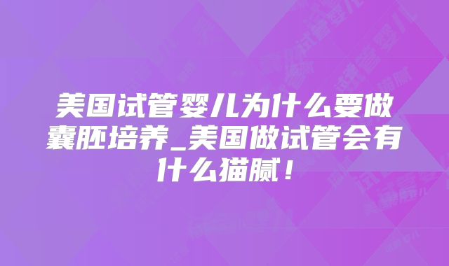 美国试管婴儿为什么要做囊胚培养_美国做试管会有什么猫腻！