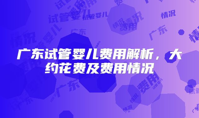 广东试管婴儿费用解析，大约花费及费用情况