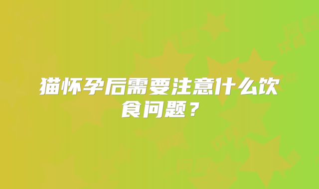 猫怀孕后需要注意什么饮食问题?
