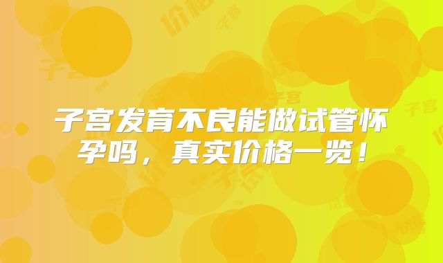 子宫发育不良能做试管怀孕吗，真实价格一览！