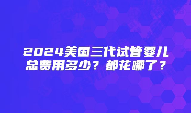 2024美国三代试管婴儿总费用多少？都花哪了？