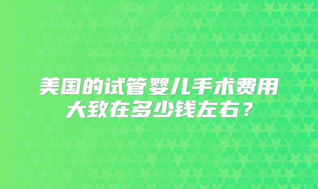 美国的试管婴儿手术费用大致在多少钱左右？