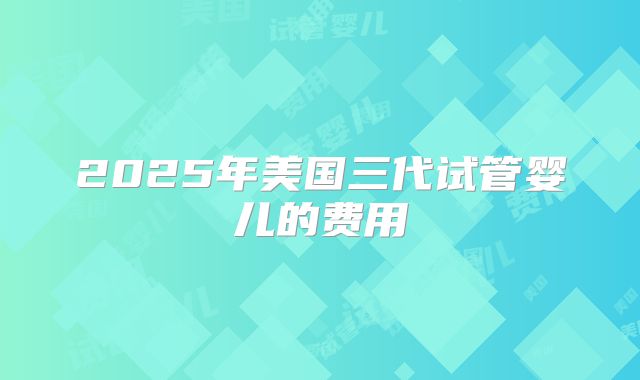 2025年美国三代试管婴儿的费用