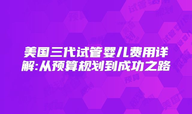 美国三代试管婴儿费用详解:从预算规划到成功之路