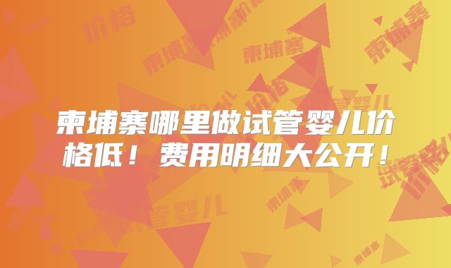 柬埔寨哪里做试管婴儿价格低！费用明细大公开！