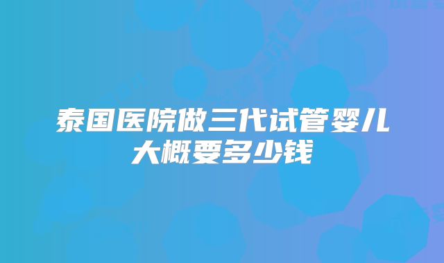 泰国医院做三代试管婴儿大概要多少钱