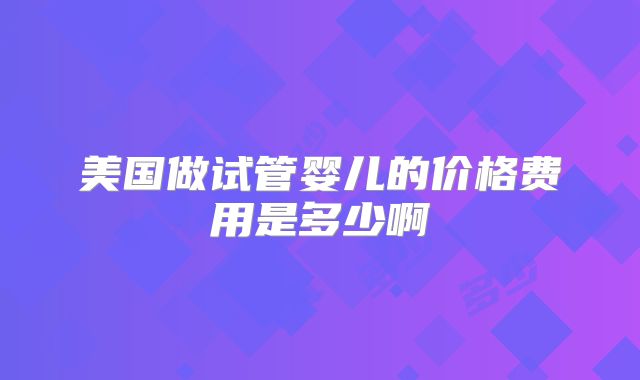 美国做试管婴儿的价格费用是多少啊