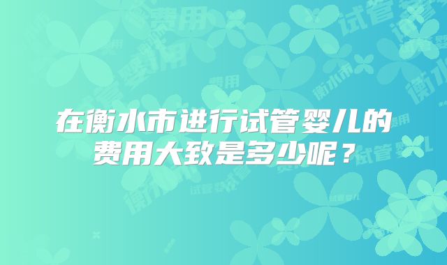 在衡水市进行试管婴儿的费用大致是多少呢？