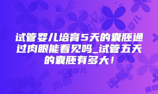 试管婴儿培育5天的囊胚通过肉眼能看见吗_试管五天的囊胚有多大！