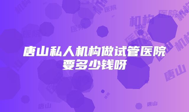 唐山私人机构做试管医院要多少钱呀