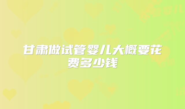 甘肃做试管婴儿大概要花费多少钱