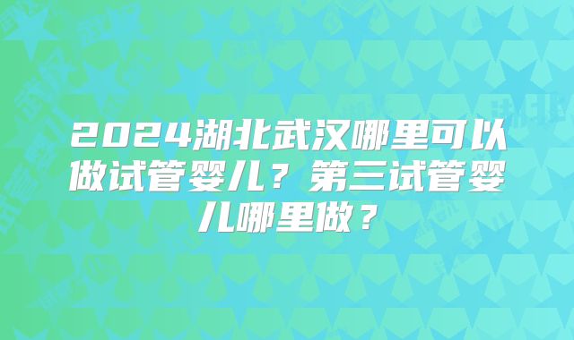 2024湖北武汉哪里可以做试管婴儿？第三试管婴儿哪里做？