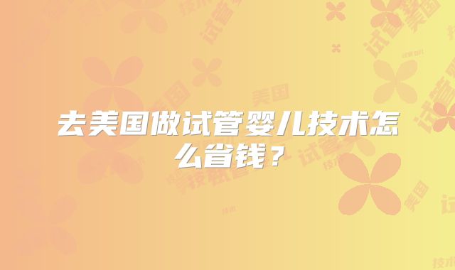 去美国做试管婴儿技术怎么省钱？