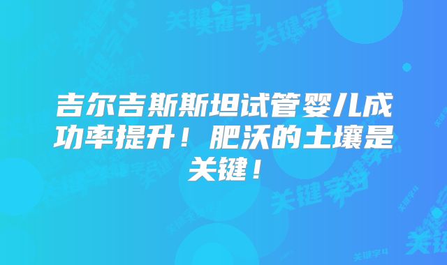 吉尔吉斯斯坦试管婴儿成功率提升！肥沃的土壤是关键！