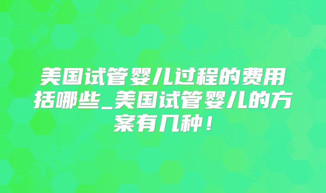 美国试管婴儿过程的费用括哪些_美国试管婴儿的方案有几种！