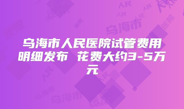 乌海市人民医院试管费用明细发布 花费大约3-5万元