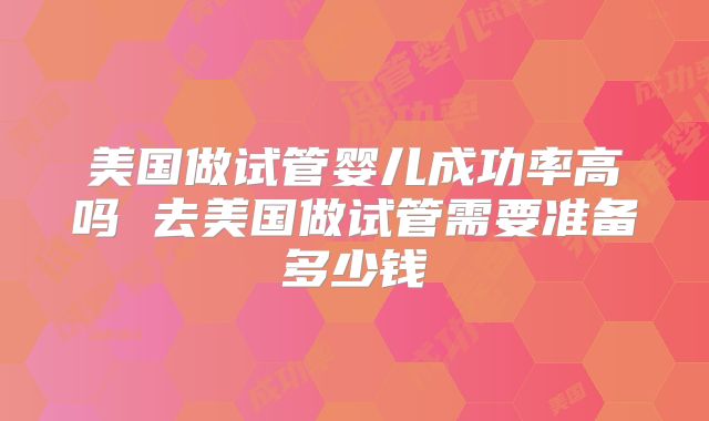 美国做试管婴儿成功率高吗 去美国做试管需要准备多少钱