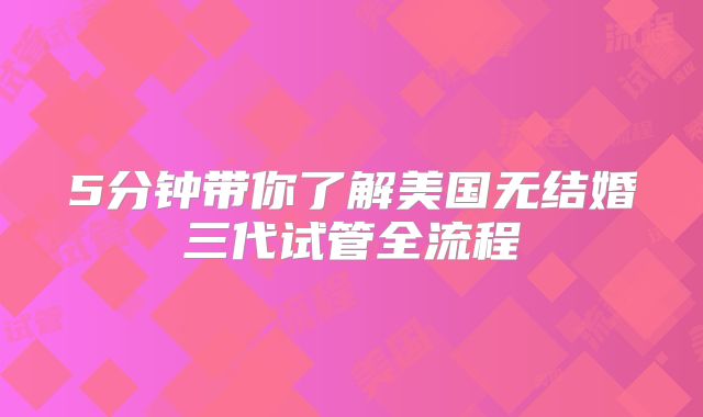 5分钟带你了解美国无结婚三代试管全流程