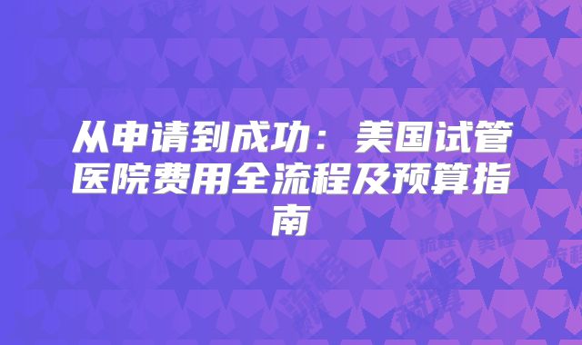 从申请到成功：美国试管医院费用全流程及预算指南