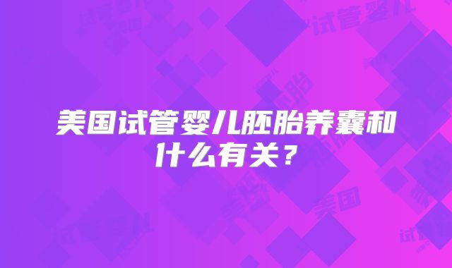 美国试管婴儿胚胎养囊和什么有关？