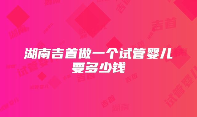 湖南吉首做一个试管婴儿要多少钱