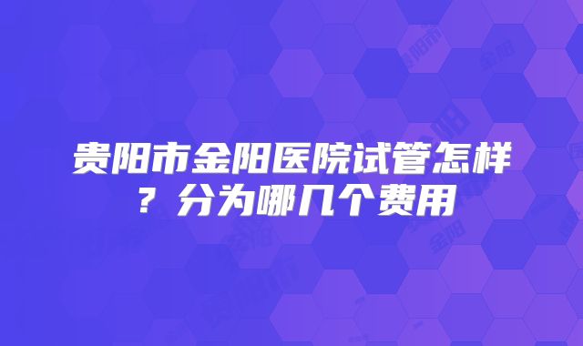 贵阳市金阳医院试管怎样？分为哪几个费用