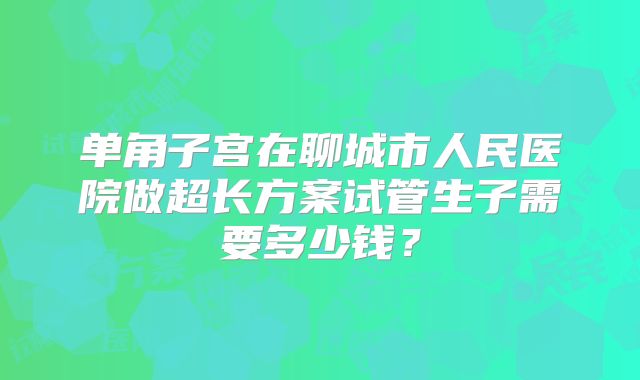 单角子宫在聊城市人民医院做超长方案试管生子需要多少钱?
