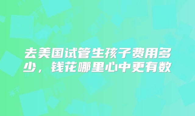 去美国试管生孩子费用多少，钱花哪里心中更有数