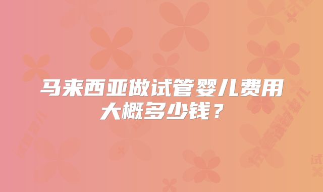马来西亚做试管婴儿费用大概多少钱？
