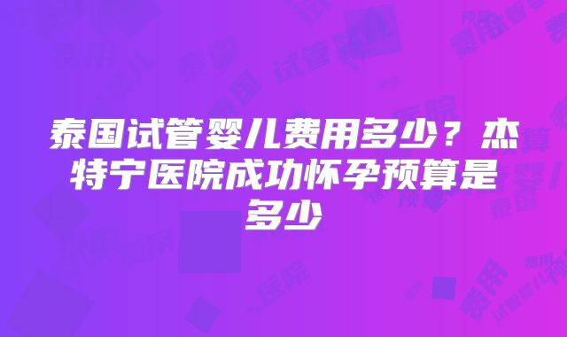 泰国试管婴儿费用多少？杰特宁医院成功怀孕预算是多少