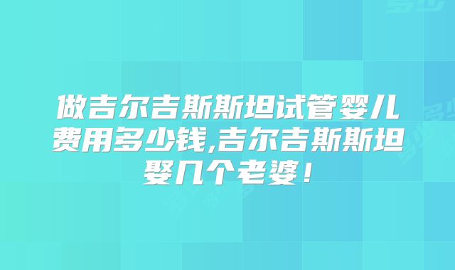做吉尔吉斯斯坦试管婴儿费用多少钱,吉尔吉斯斯坦娶几个老婆！