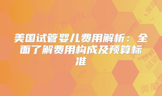 美国试管婴儿费用解析：全面了解费用构成及预算标准