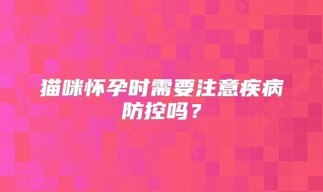猫咪怀孕时需要注意疾病防控吗？