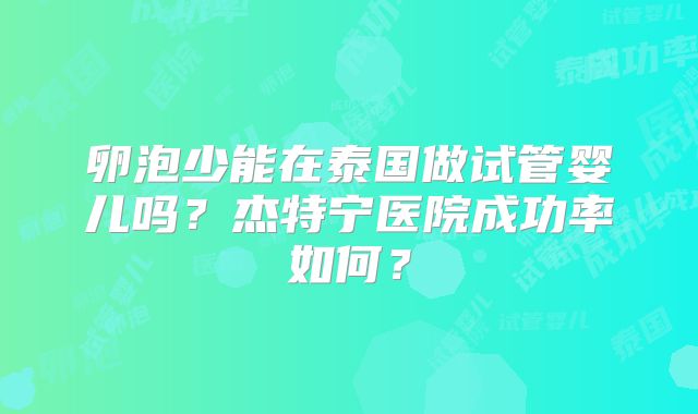 卵泡少能在泰国做试管婴儿吗？杰特宁医院成功率如何？