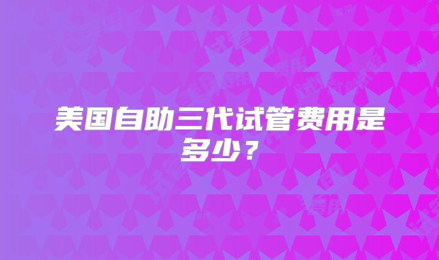 美国自助三代试管费用是多少？