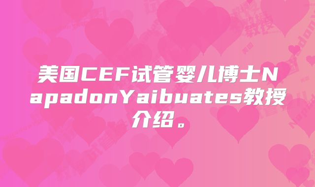 美国CEF试管婴儿博士NapadonYaibuates教授介绍。