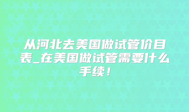 从河北去美国做试管价目表_在美国做试管需要什么手续！