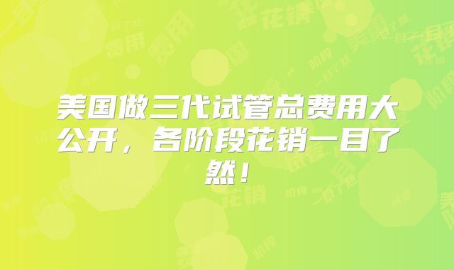 美国做三代试管总费用大公开,各阶段花销一目了然!