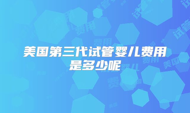 美国第三代试管婴儿费用是多少呢