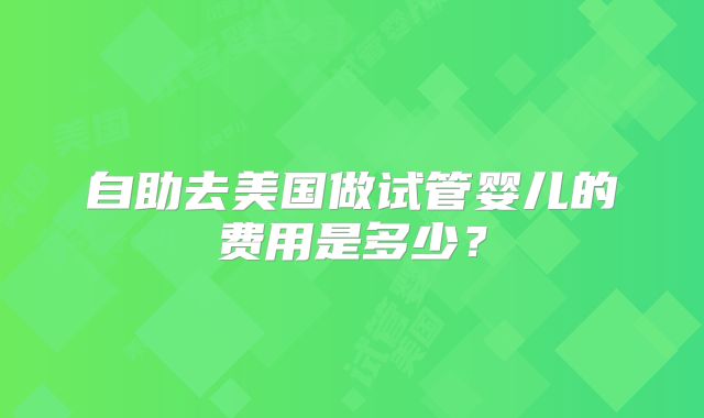 自助去美国做试管婴儿的费用是多少？