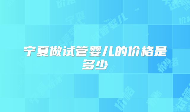 宁夏做试管婴儿的价格是多少