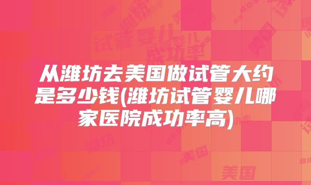 从潍坊去美国做试管大约是多少钱(潍坊试管婴儿哪家医院成功率高)