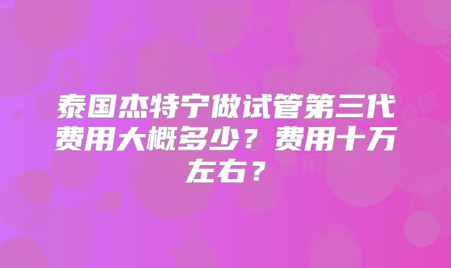 泰国杰特宁做试管第三代费用大概多少?费用十万左右?