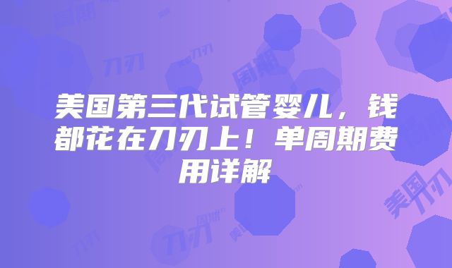 美国第三代试管婴儿，钱都花在刀刃上！单周期费用详解