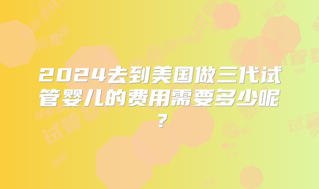 2024去到美国做三代试管婴儿的费用需要多少呢？