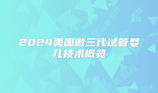 2024美国做三代试管婴儿技术概览