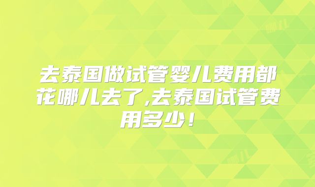 去泰国做试管婴儿费用都花哪儿去了,去泰国试管费用多少！