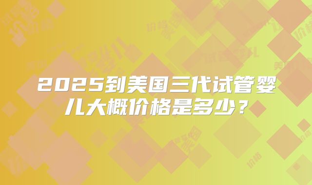 2025到美国三代试管婴儿大概价格是多少？