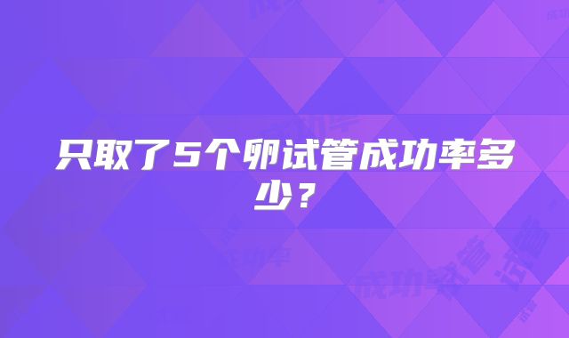 只取了5个卵试管成功率多少？